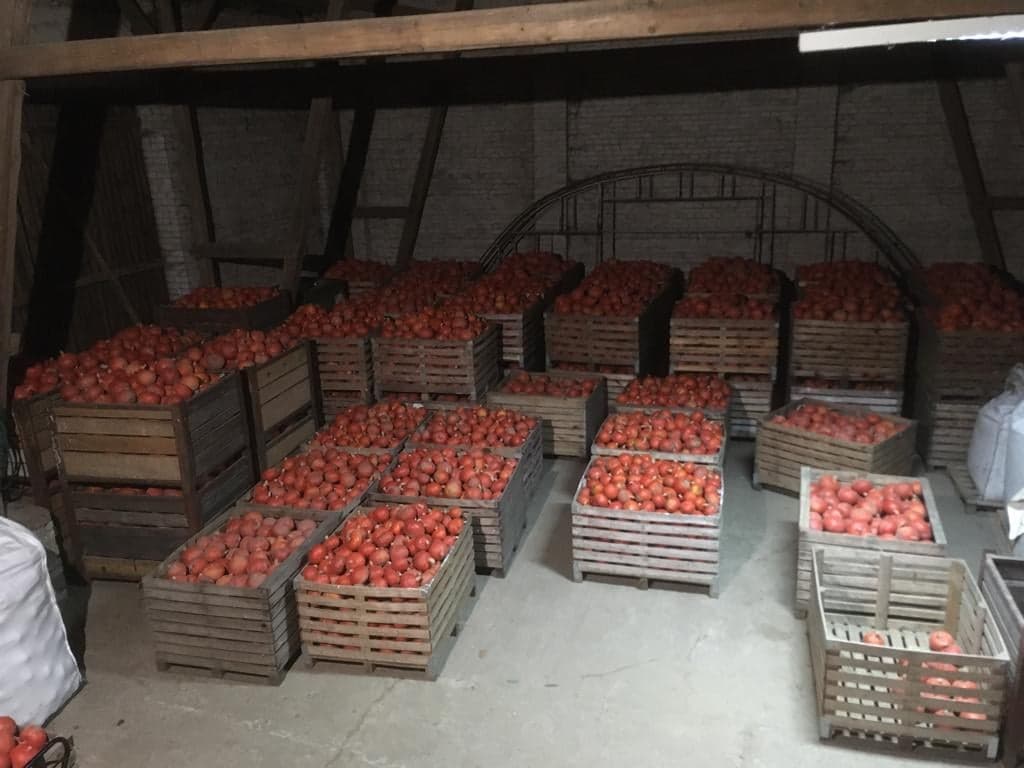 Venderé una calabaza de Hokkaido, muy bien coloreada