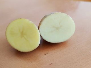 Patatas brisa comestibles. Precio 1,30 PLN por kg a