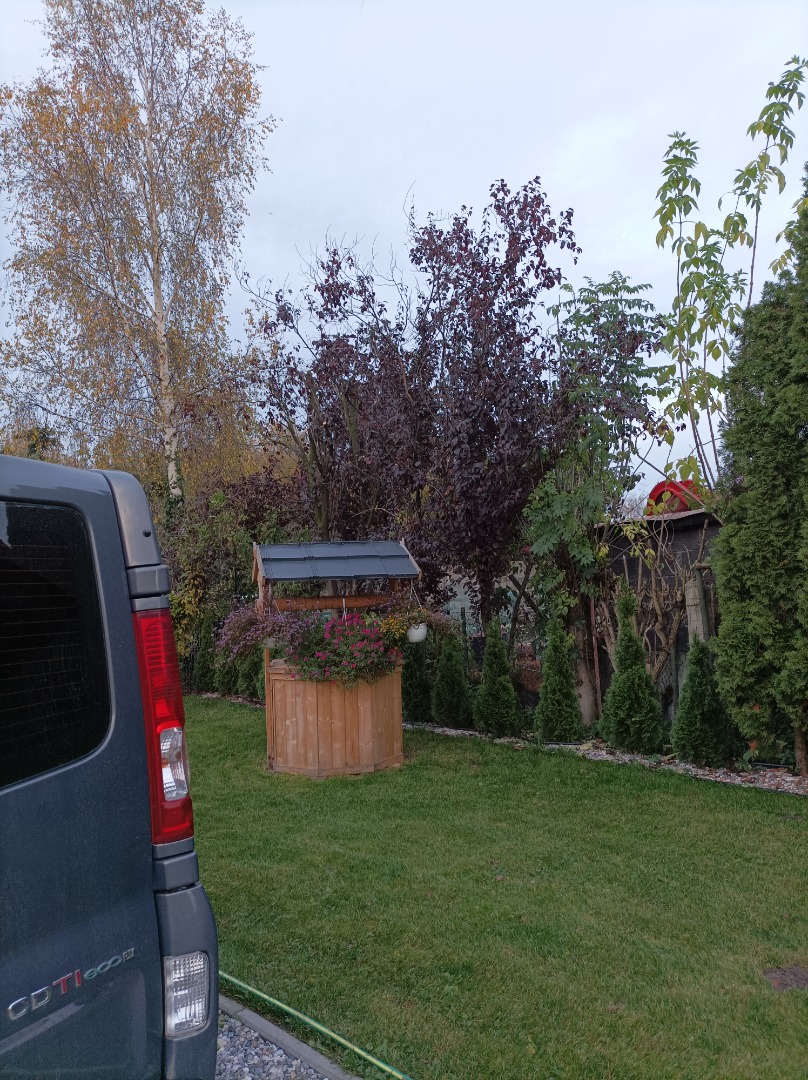 Hola vendo nueces de la temporada 2022, tengo 300 kg, buenas para cascara, brillantes por dentro, Más info Colección personal