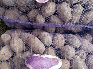 venderé patatas trufas moradas