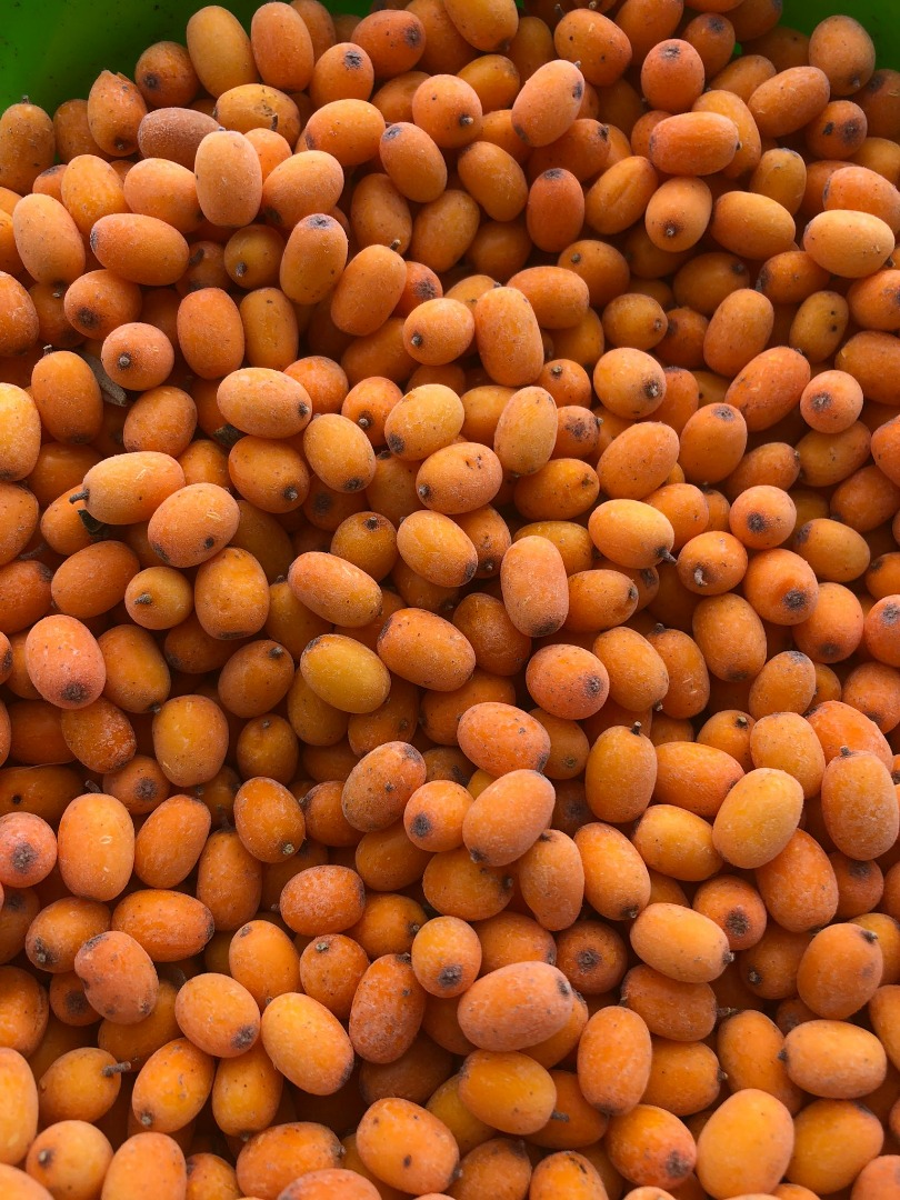 RO: Somos una cooperativa del occidente del país que produce tres tipos de fruta, una de ellas es el espino amarillo orgánico que cultivamos en un área de 34
