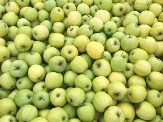 A la venta 16 palets dorados, tamaño: 50% de