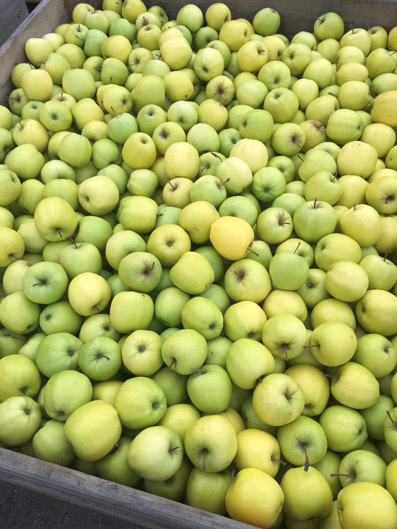 A la venta 16 palets dorados, tamaño: 50% de 6,5