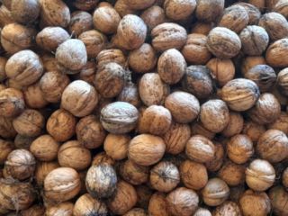 Vendo nueces! Si quieres una cantidad mayor tienes que