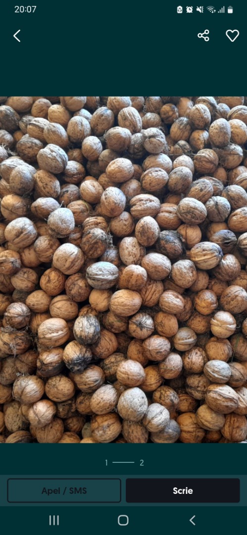 Vendo nueces! Si quieres una cantidad mayor tienes que venir a mi país