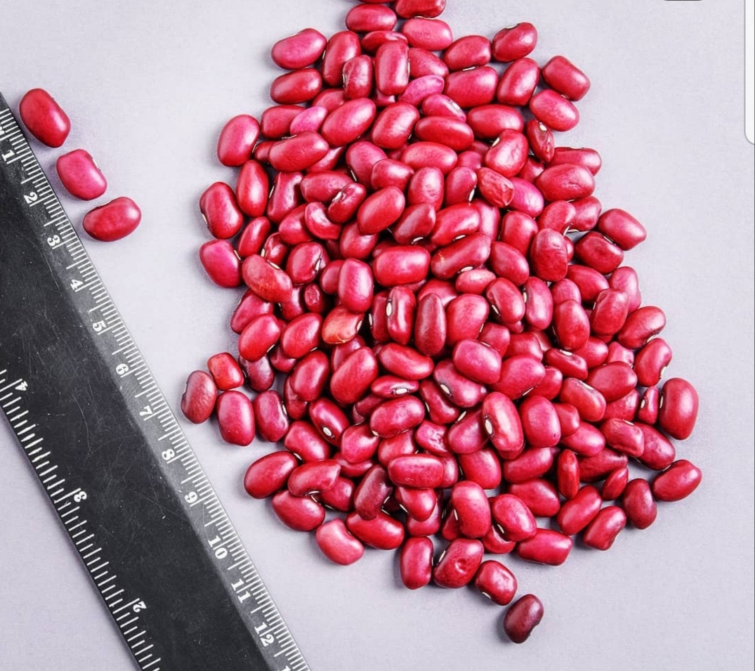 Hola, nuestros frijoles son de Kirguistán, todos los tipos de frijoles que están en la foto están disponibles, el pedido mínimo es de 20 toneladas