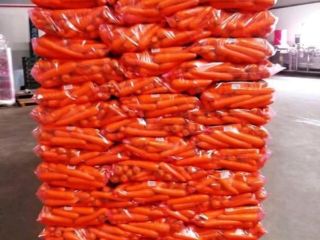 Zanahorias de alta calidad, envíos a todo el mundo.