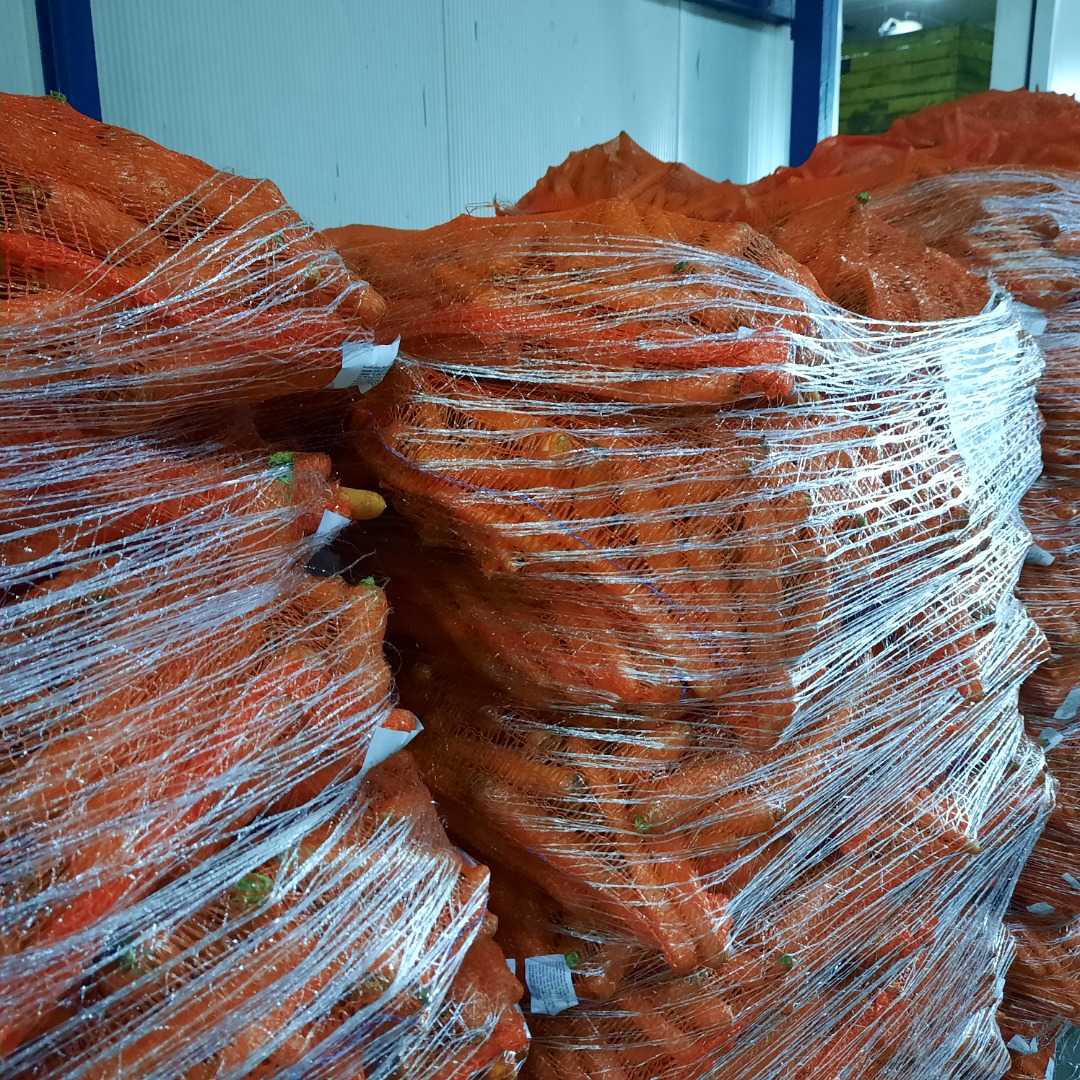 zanahorias frescas