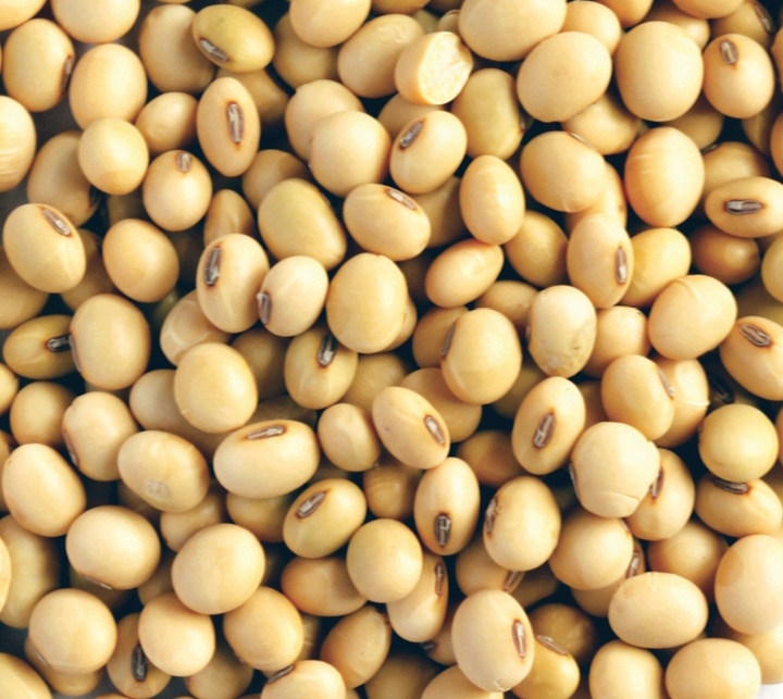 Somos productores directos y exportadores de soja de origen Benin Republic de grado no OGM, podemos suministrar cualquier cantidad que necesite y nuestras