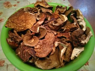 Hola, tengo a la venta boletus secos, los hongos