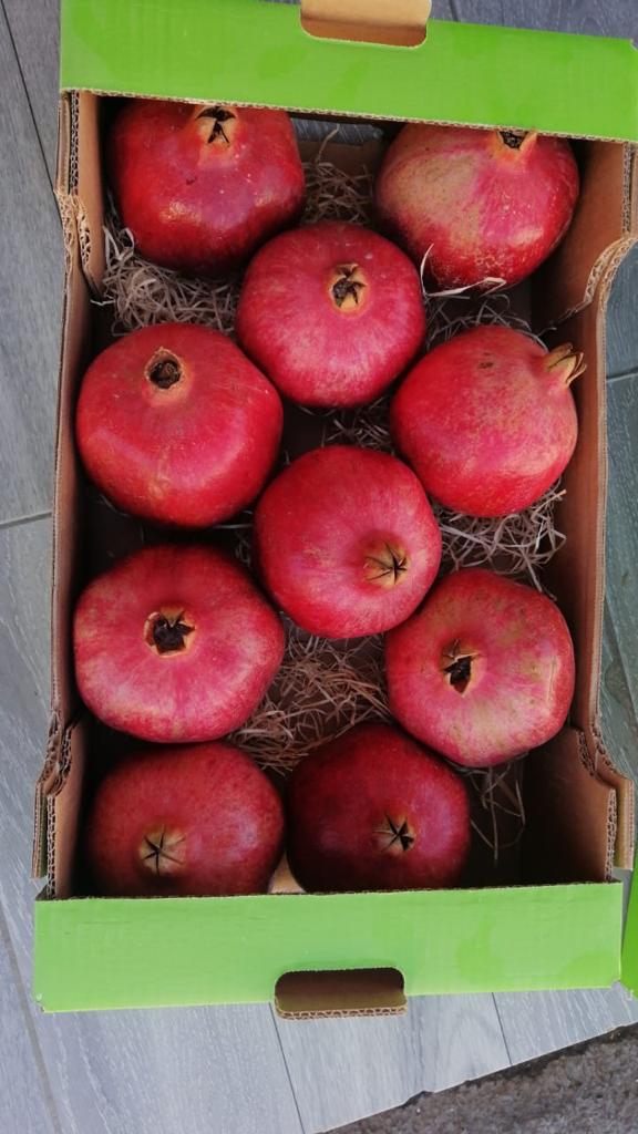 Entregaré granadas orgánicas frescas directamente del productor, muy sabrosas y jugosas