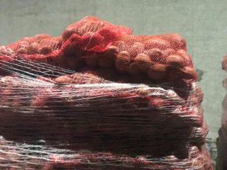 Vendemos papas rojas de Polonia Vendemos papas rojas y