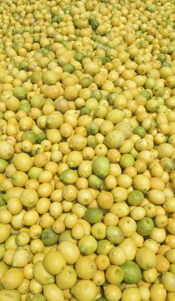Compraremos limón, naranja, mandarina, lima, pomelo rojo, clase II - III para jugos