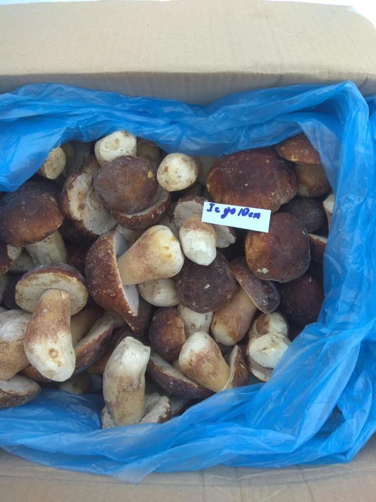 Venderé bajo los términos de FCA, DAP Extra - 15 euros por kg 1 especie - 10 euros por 1 kg