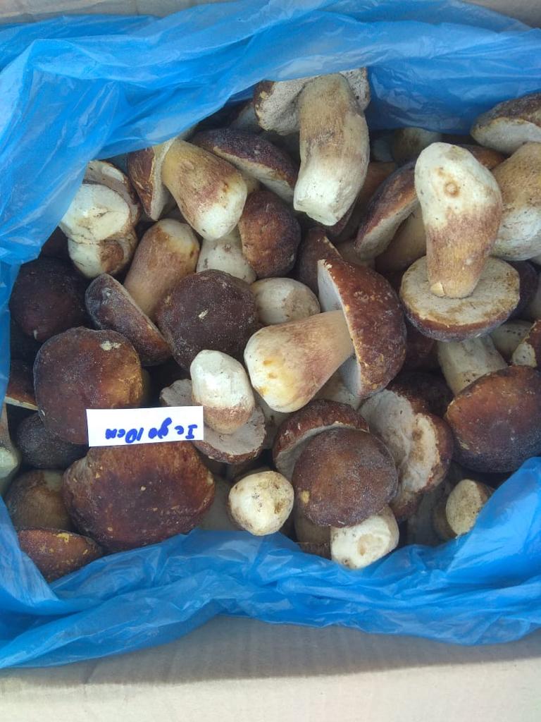 Buen día interesados en las siguientes posiciones: gránulos de salvado - 100 euro / tonelada Maíz - 220 euro / tonelada trigo 3 kl-230, piensos - 210 euro /
