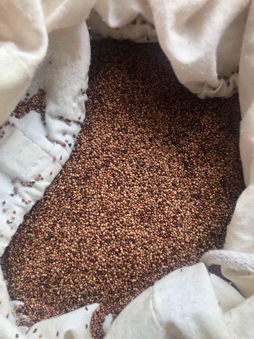 Vendo semillas de fresa, perfectas para Aceite Cosmético, Aceite Comestible o para Peeling