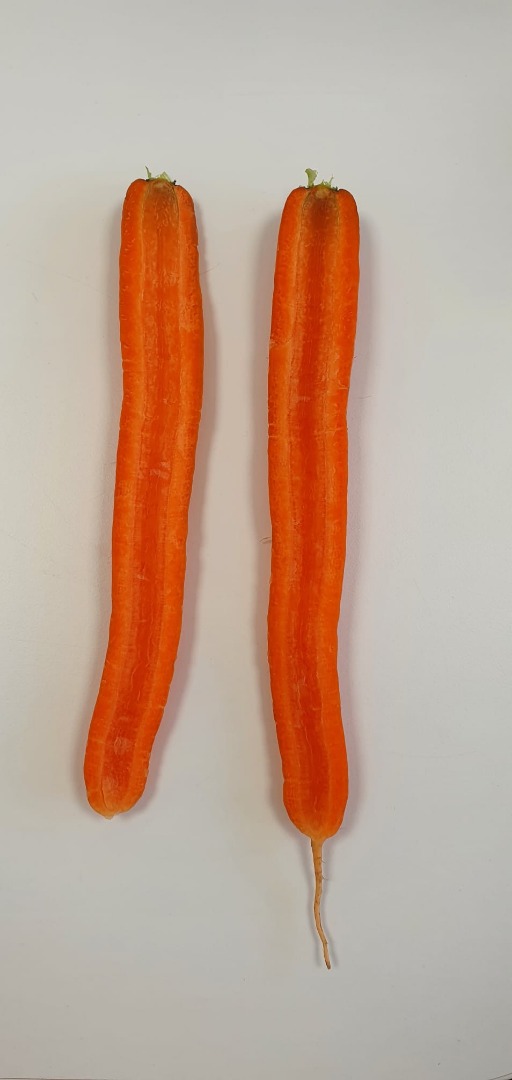 Estamos ofreciendo dos tipos de zanahorias a la venta hoy, 14.11.2022