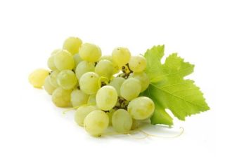 Uvas frescas y deliciosas (verde)