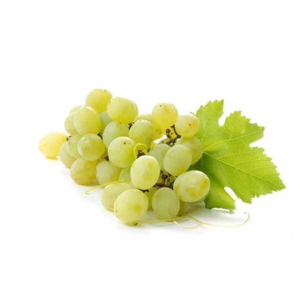 Uvas frescas y deliciosas (verde)