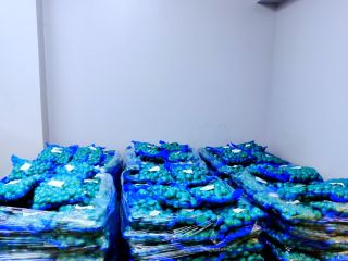 Vendo patatas peladas envasadas herméticamente, también tengo otras verduras