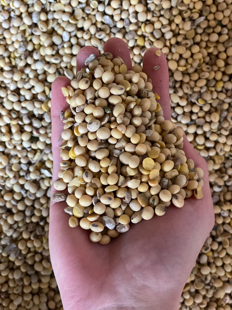 Vendemos soja, muy buena calidad, todos los indicadores normales, disputado 3%