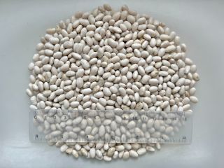 Tamaño: 450 uds./100 g Humedad: 16,2% Pureza: 99,9% Partición: