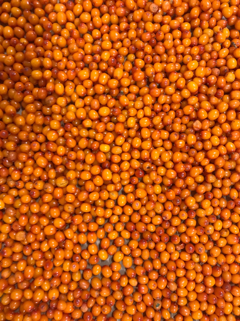 Ofrecemos Espino Amarillo Congelado IQF