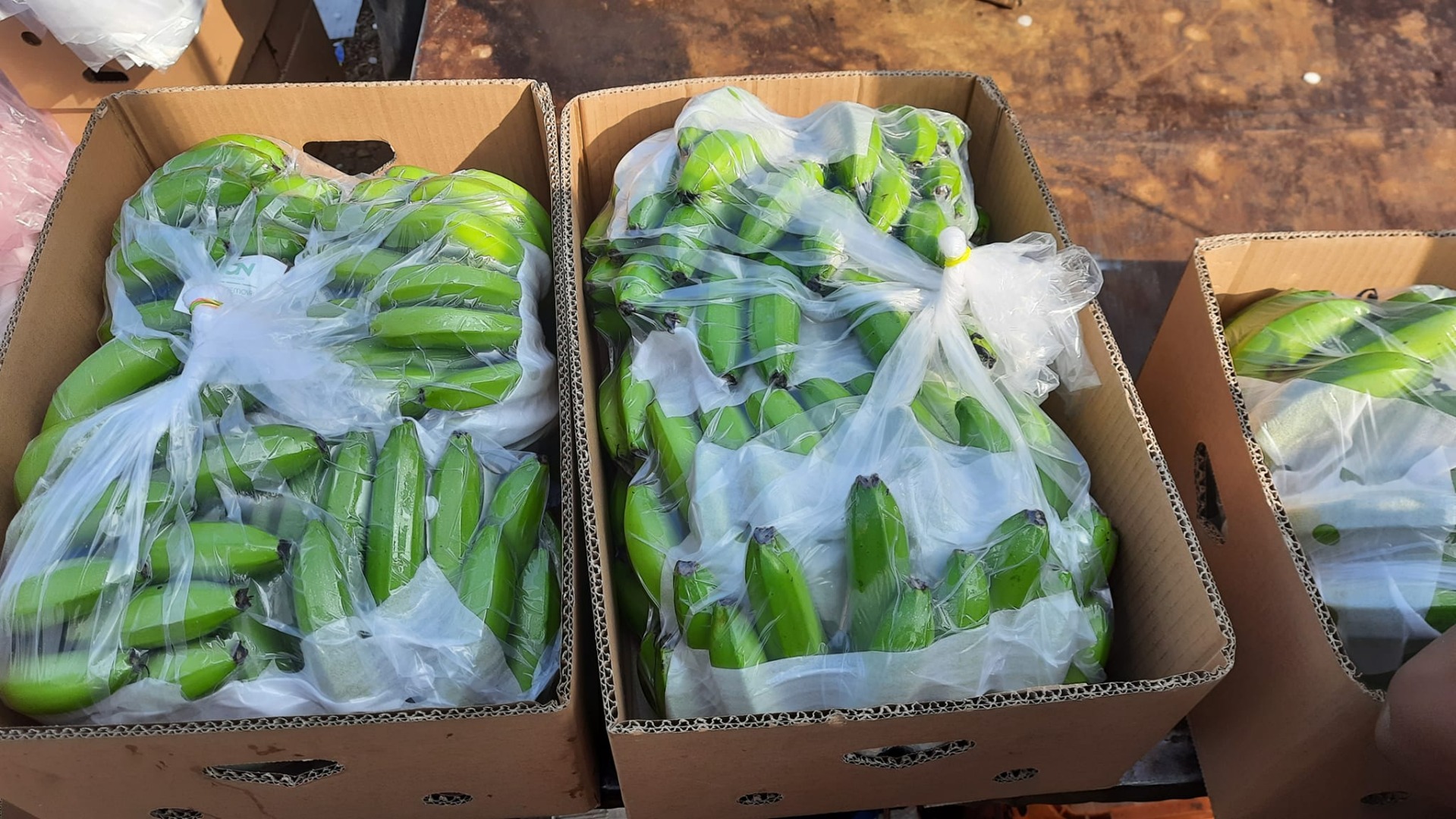 EMPRESA PRODUCTORA DE BANANO EN ECUADOR BUSCAMOS NUEVOS CLIENTES PARA VENDER NUESTRA PRODUCCIÓN DE BANANO CAVERNISH PREMIUM A PRECIOS ACCESIBLES 12$ CAJA 20 KG