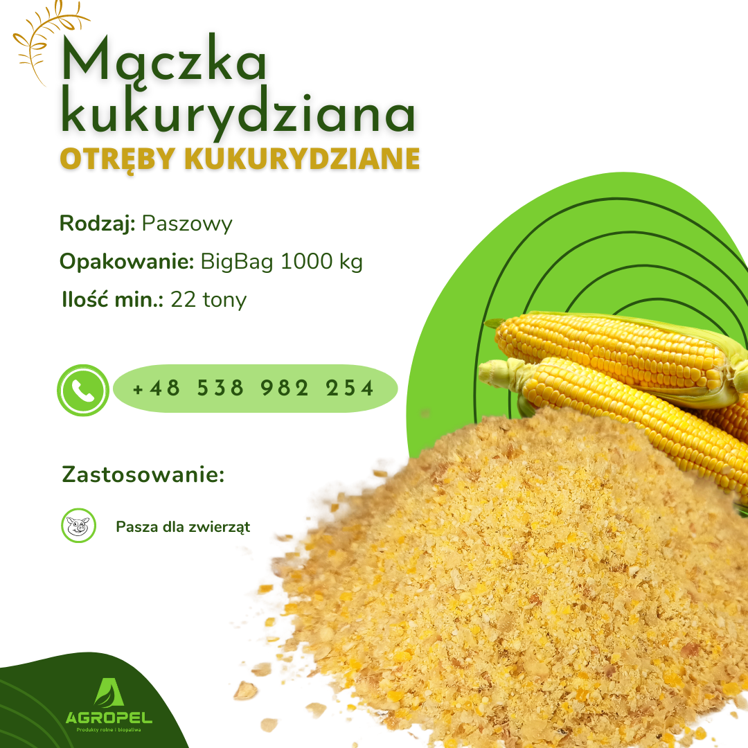 Harina de maíz (salvado de maíz) Ofrecemos harina de maíz (a menudo llamado salvado) en venta continua