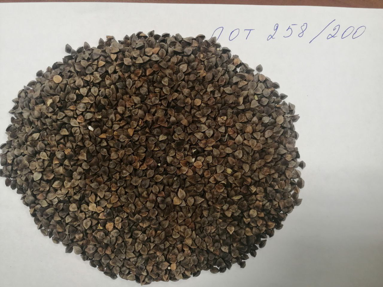 LLC Smolensk Agro Export exporta trigo sarraceno de origen ruso a los países DAP-EU