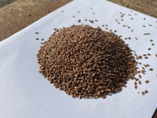 LLC Smolensk Agro Export exporta linaza amarilla y marrón