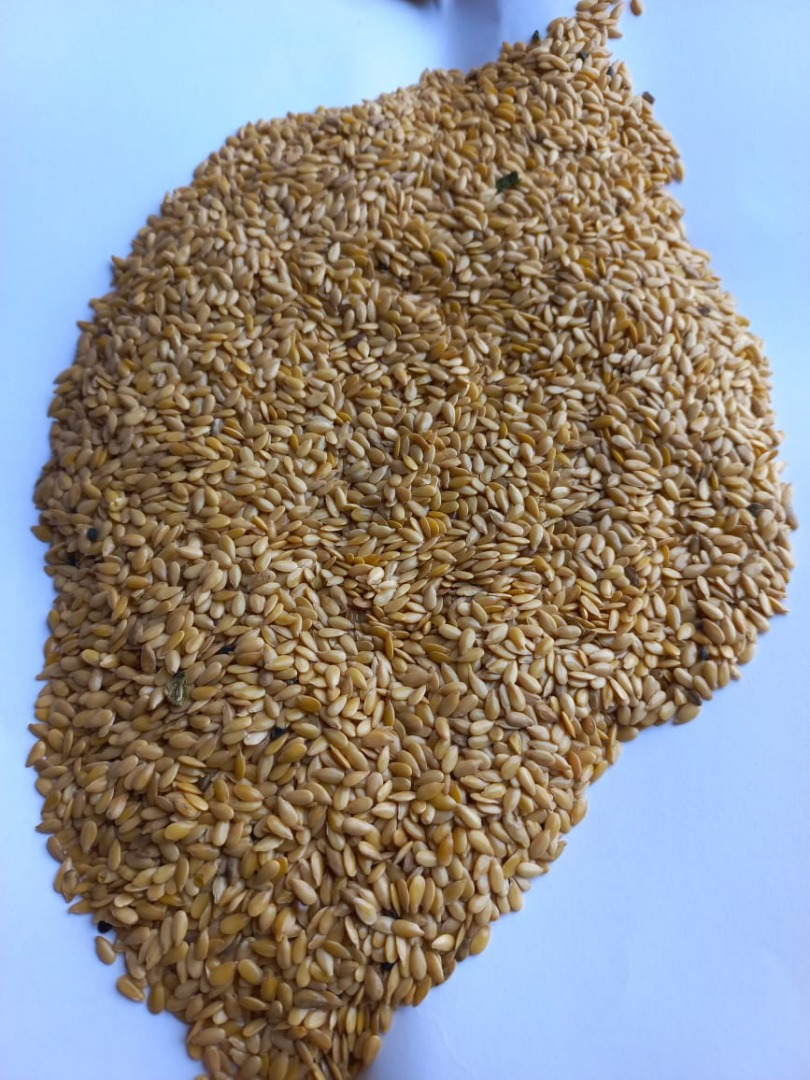 LLC Smolensk Agro Export exporta linaza amarilla y marrón de origen ruso a los países de la UE DAP