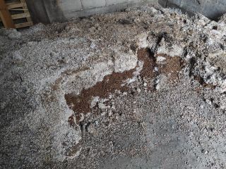 Tengo que vender unas 4 toneladas de soja variedad