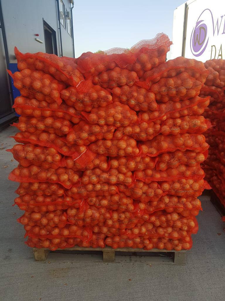 CEBOLLAS A LA VENTA (5+Calibre): 100% rumana Eco I calidad Cebolla amarilla - 0,47€/ kg Cebolla roja - 0,50€/ kg Envasado en sacos de 10kg Producida en Rumania