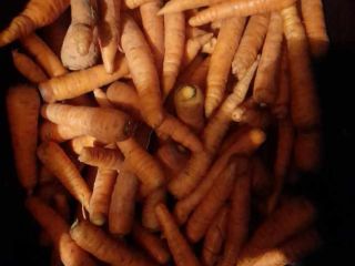 Venderé zanahorias de mi propio cultivo sin fertilizantes (puedes