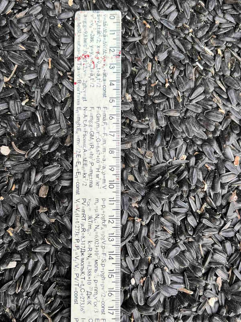 SEMILLAS DE GIRASOL Calidad: Contenido de aceite: 49,7% Humedad: hasta 8,0% Obstrucción: hasta 3,0% LLAMADA: O WhatsApp/Viber/Telegram