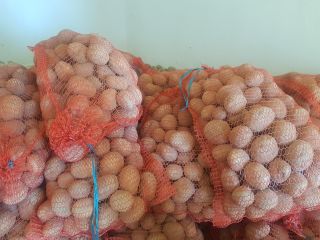 Venderé papas a la vineta. Envasado en sacos de