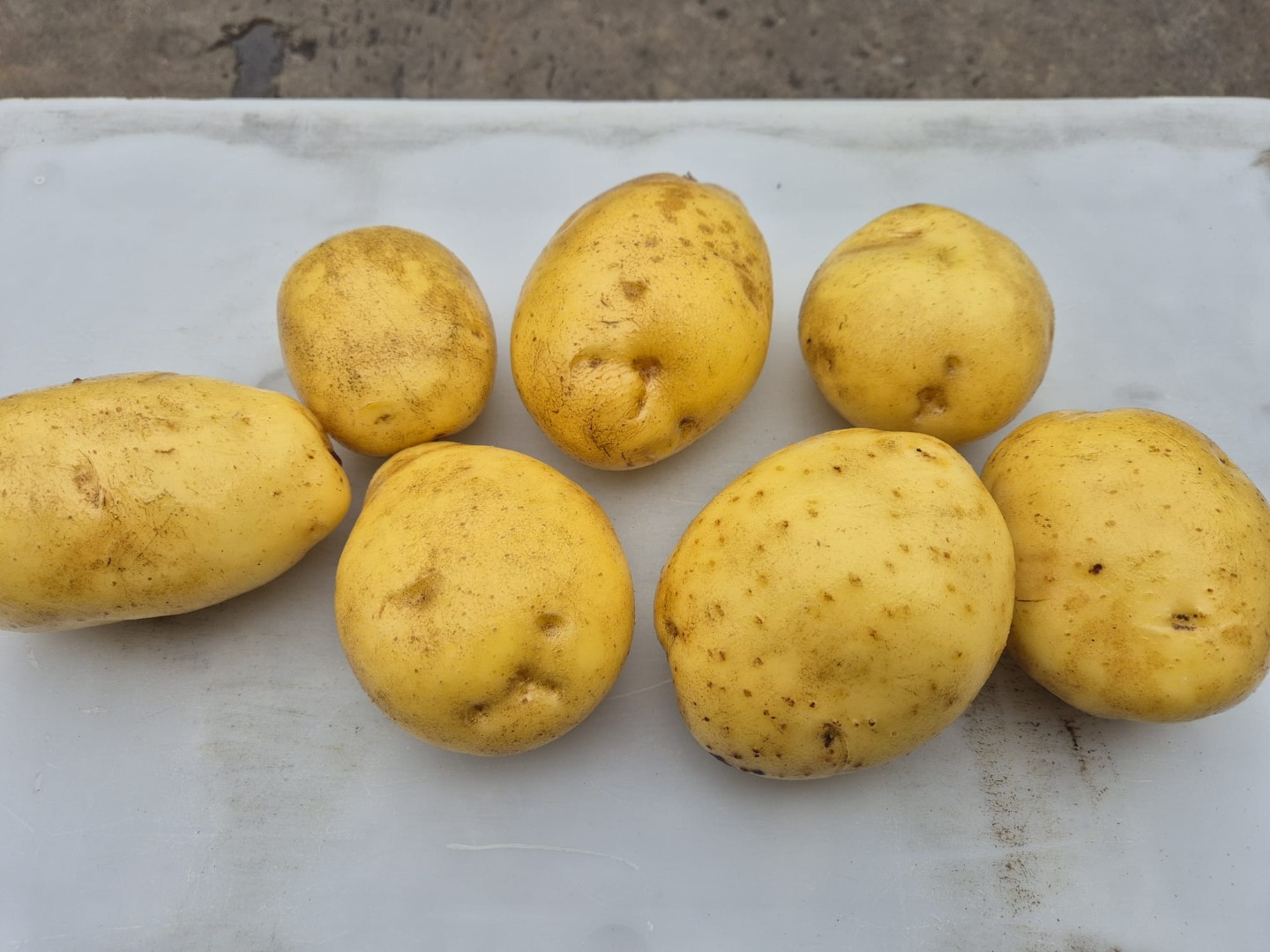 Se venden papas rojas y amarillas