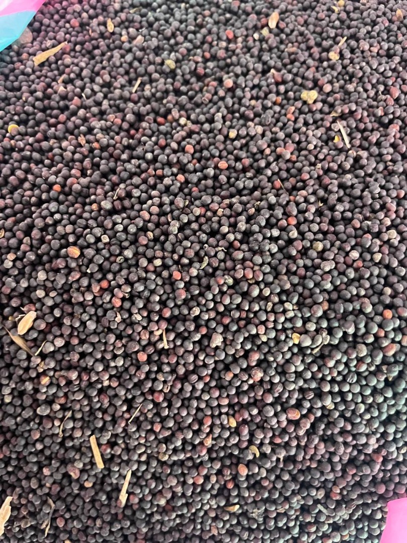 Una empresa polaca vende colza de origen ucraniano con entrega