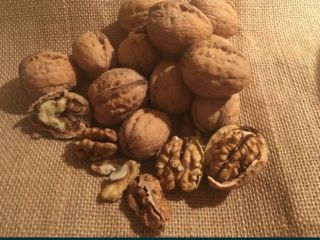 Venta de nueces ecológicas, recogidas a mano este año