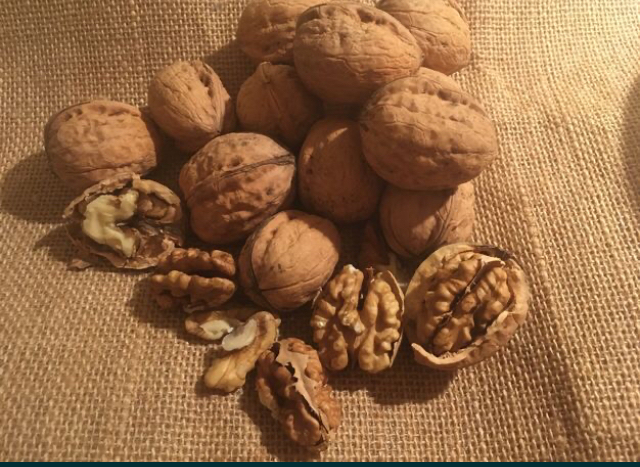Venta de nueces ecológicas, recogidas a mano este año Venderé 20~30 kg de nueces, recogidas a mano, este año, ecológicas, zona alejada de la contaminación, 10