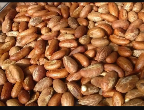 Comuníquese conmigo para obtener su kola amarga orgánica y pimienta de cocodrilo asequibles de África occidental (seca)