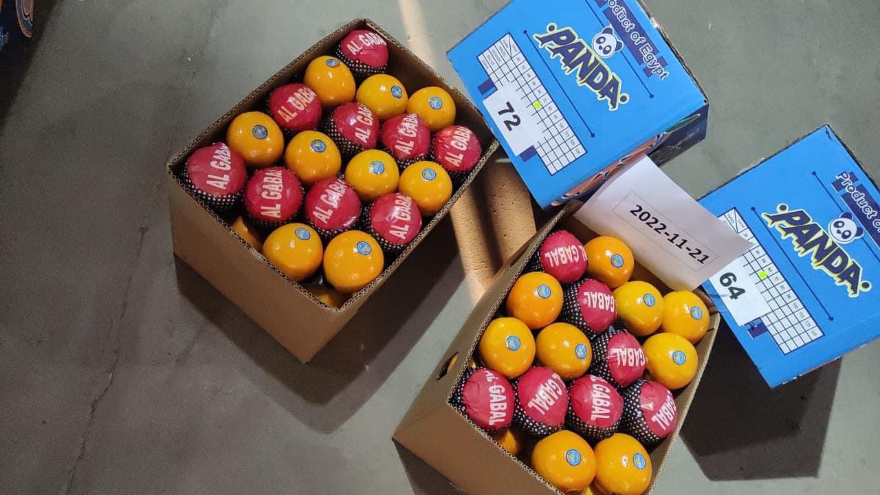 Naranja egipcia de alta calidad