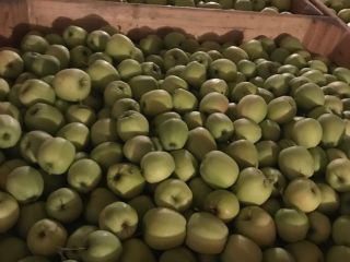 Vendo manzana Prince Champion golden 6-7 jonagored