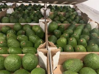 No solo cultivamos nuestra propia fruta, también obtenemos, maduramos,