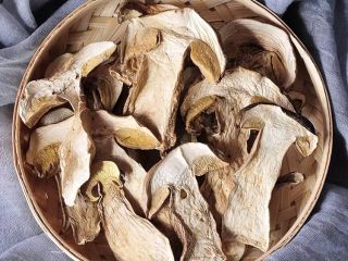 Hongo Boletus Luteus al por mayor / Hongo Boletus