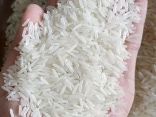 Mayorista Best Rice ST 25 Arroz Orgánico Mayorista The