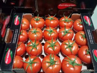 Hola, nuestra región Kumluca es una región de tomate,