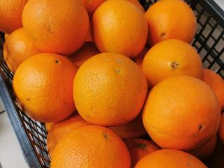 Venderé naranja española, variedad neveline, muy dulce y sin