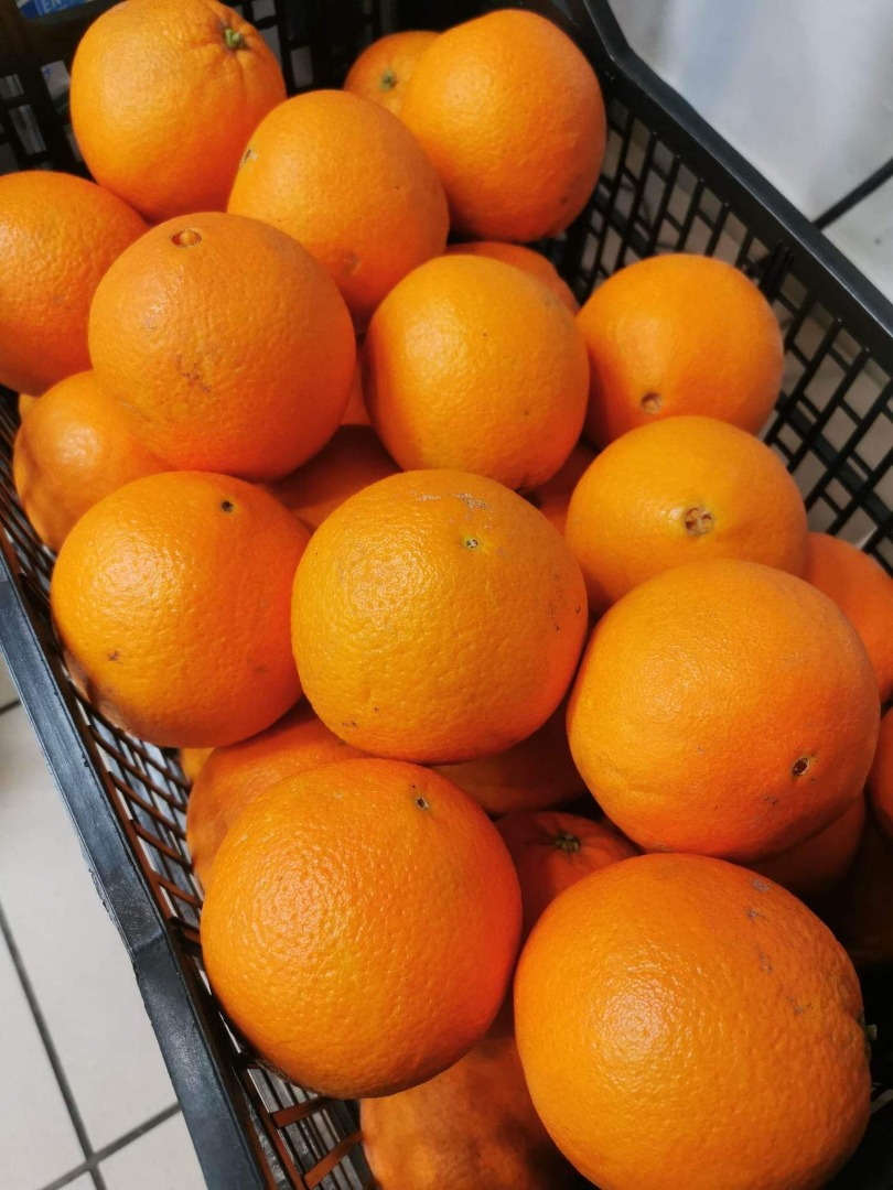 Venderé naranja española, variedad neveline, muy dulce y sin semillas, calibre 3.4 el día martes estará en Polonia